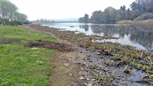 Río Guadiana a su paso por Medellín (Badajoz).