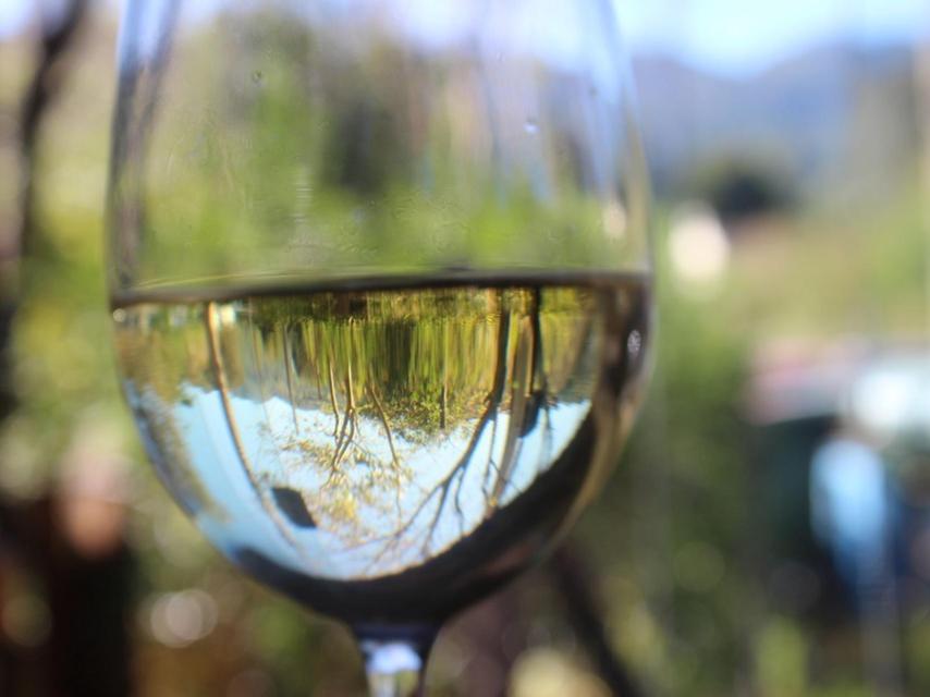 La primavera cabe en una copa de vino blanco.