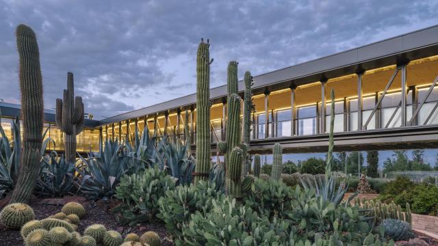 Una imagen del edificio de Desert City. | Foto: Imagen Subliminal, Miguel de Guzmán y Rocío Romero.