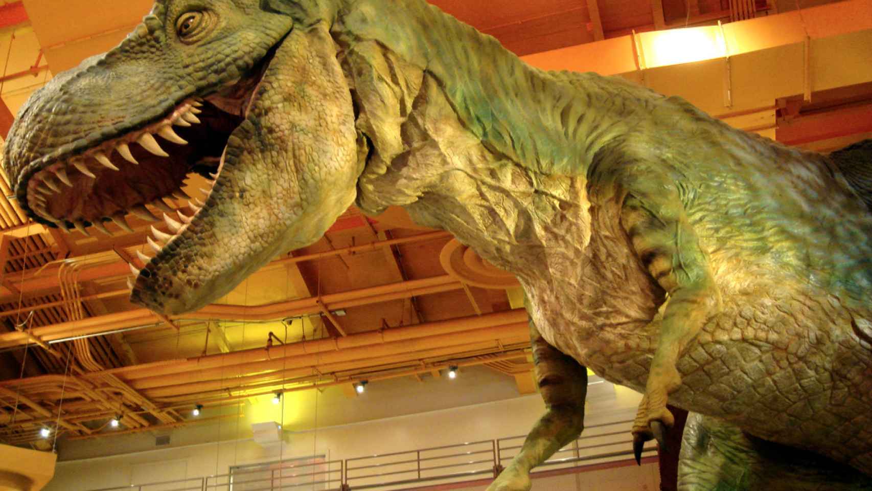 Los Tyrannosaurus Rex no podían correr tanto como se pensaba.