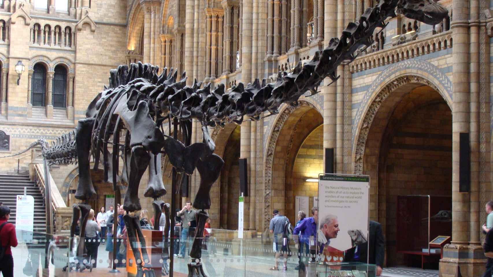 El Museo de Historia Natural de Londres es uno de los más reputados en todo el mundo.