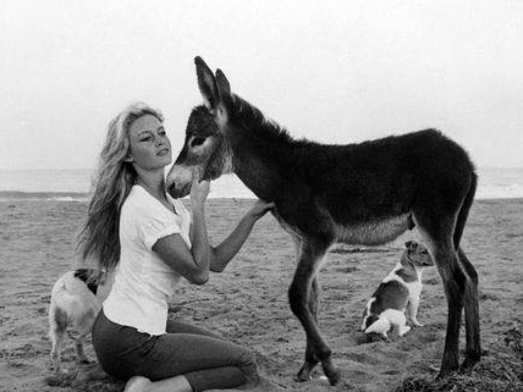 Briggite Bardot con un burro en Torremolinos, durante el rodaje de Los joyeros del claro de luna
