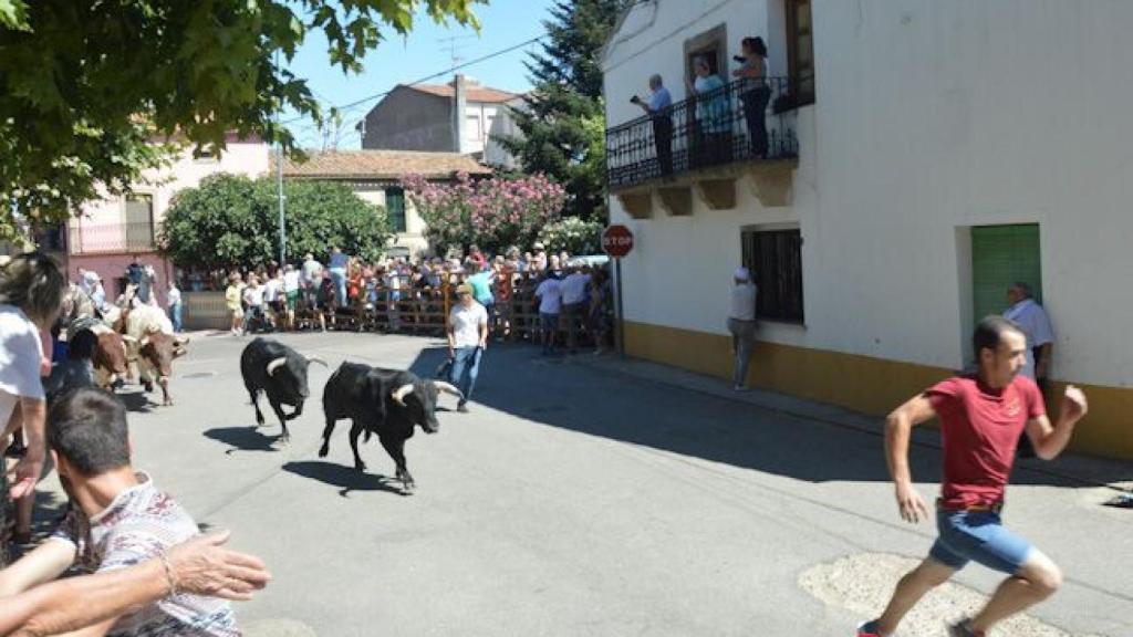 Encierro domingo 2016 lumbrales (30)