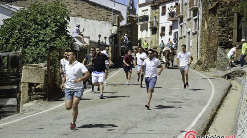 encierro 2017 saucelle (42)