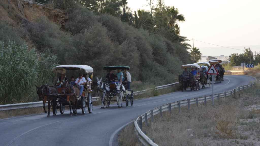 Imagen de los carros durante la romería a Los Alcácares.