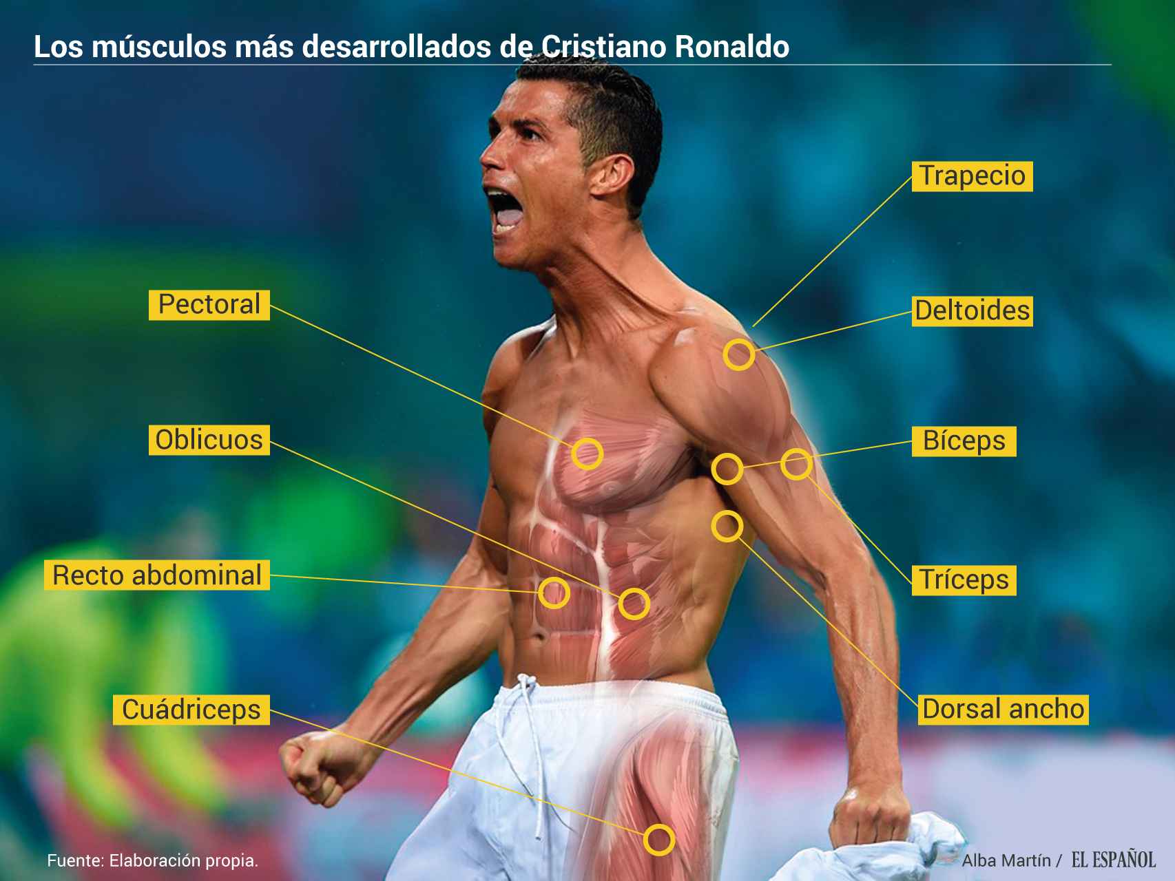 Los músculos que hacen el cuerpo de Ronaldo como es.