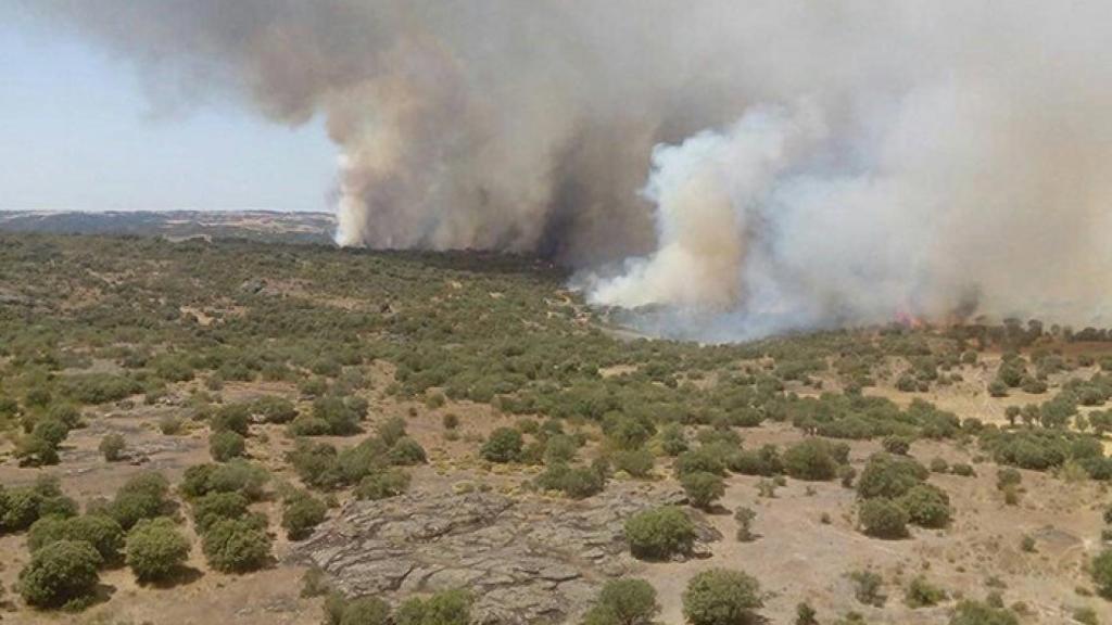 Zamora-incendio-pinar-del-oro