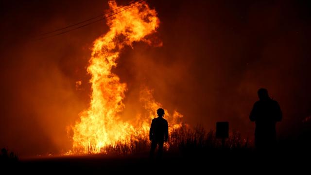 Bomberos intentan apagar un incendio en Portugal.