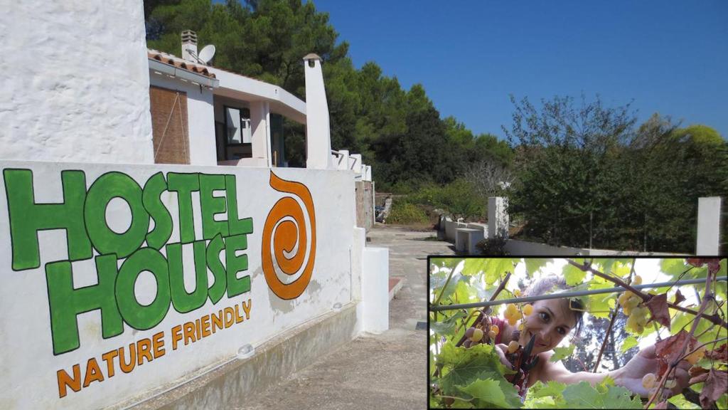 Juana producía mermelada casera con los frutos silvestres que cultivaba en el huerto.