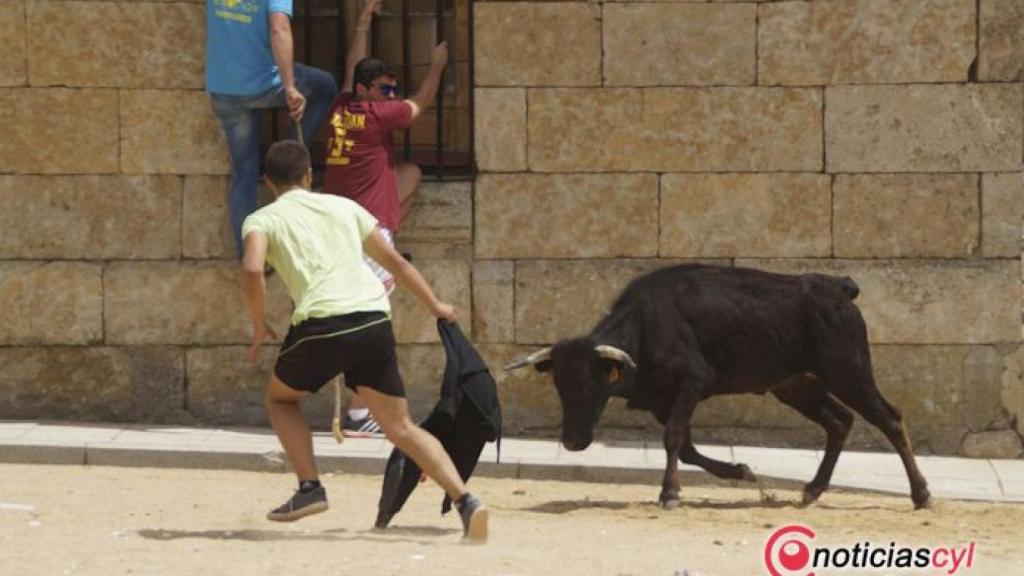 Zamora-Fuentesauco-encierro-lunes-toros-122