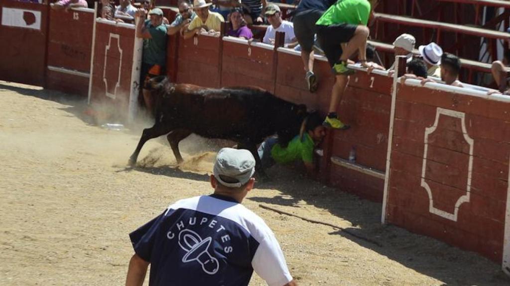 4 encierro 2017 lumbrales (50)