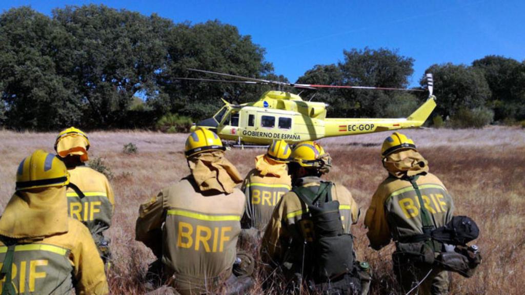 zamora incendio helicóptero pino del oro (6)