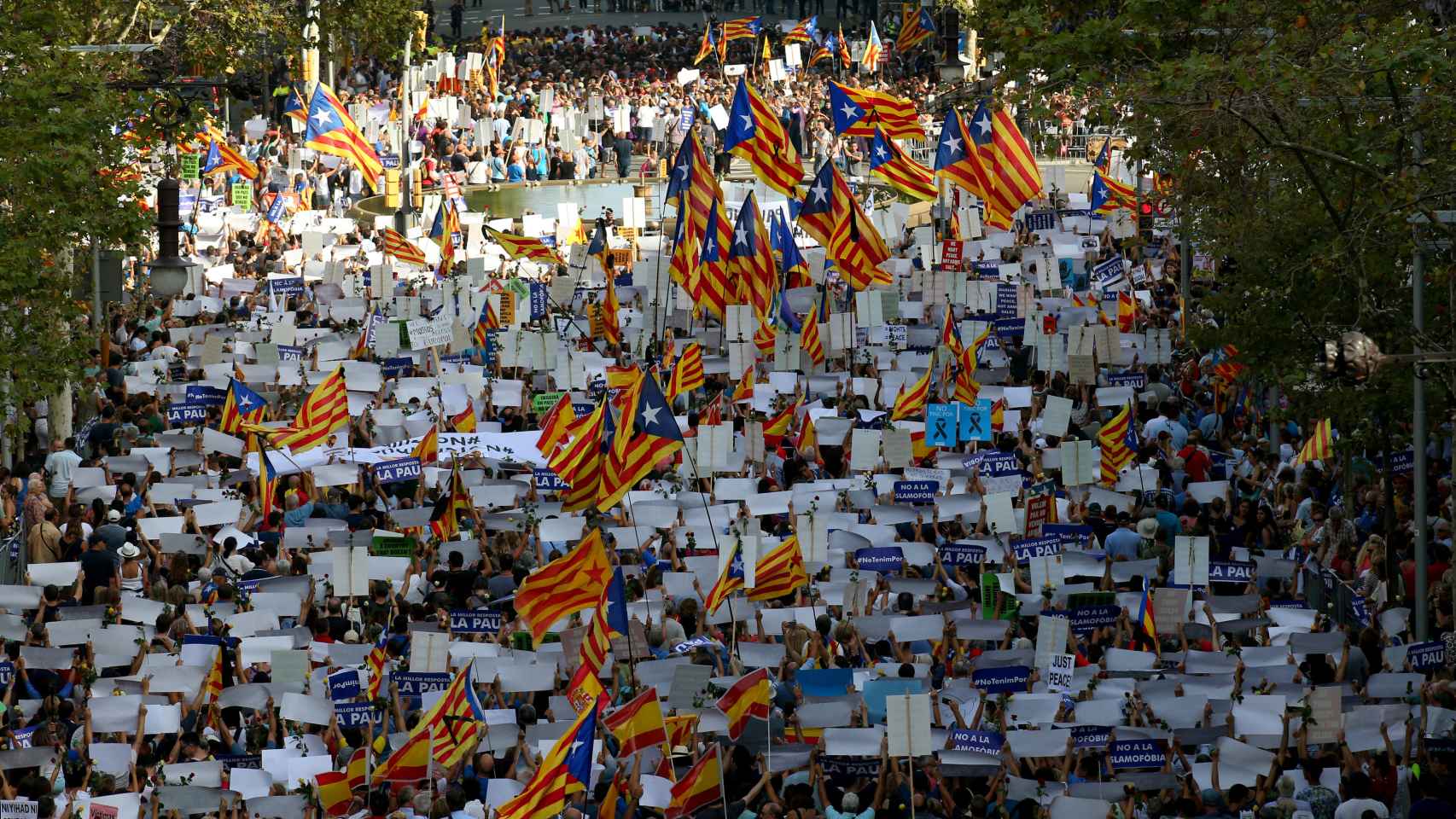En un encuentro convocado para manifestar y demandar la unión contra un enemigo común,  numerosos catalanes han puesto de relieve su sed de división a través del izado de esteladas.