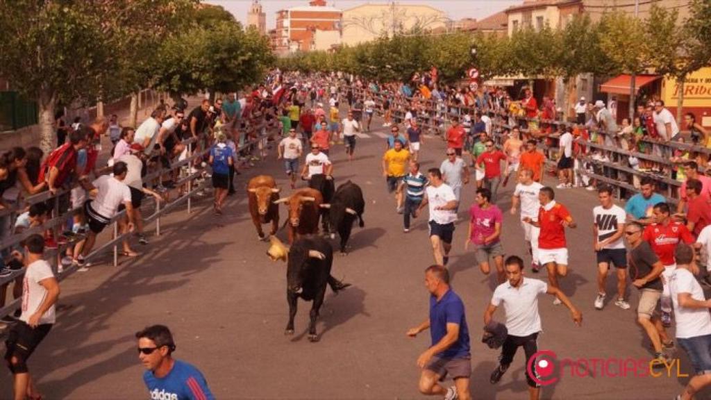 encierro medina del campo sabado 26