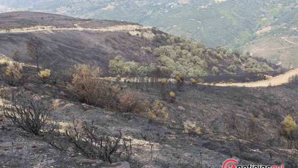 Foto Arboles incendio Encinedo