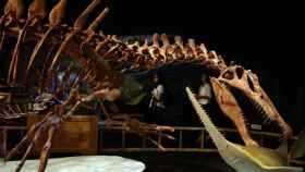 Reproducción a tamaño real del Spinosaurus.