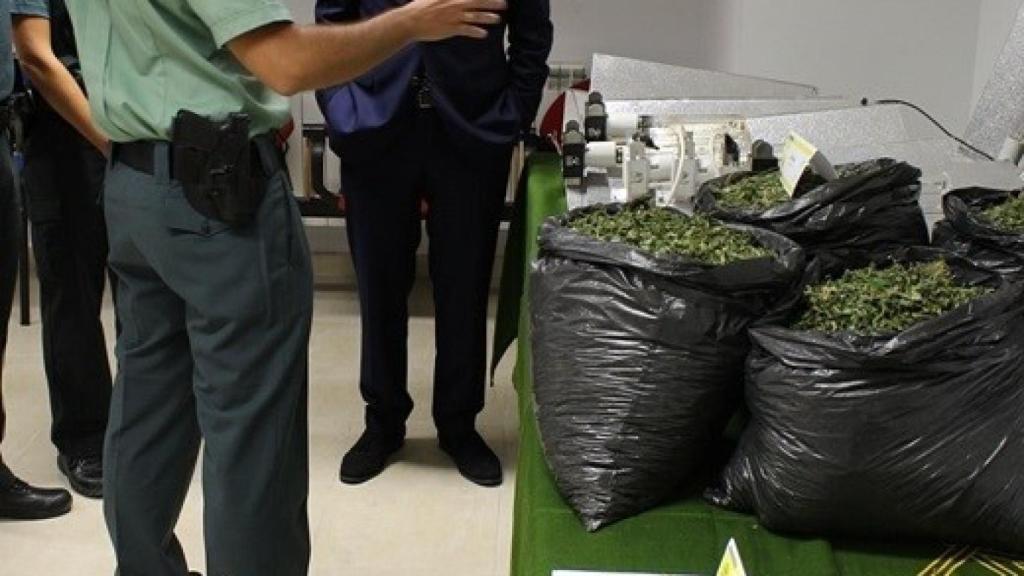 droga-marihuana-burgos-guardia-civil