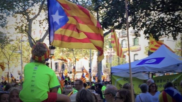 La jornada de la Diada ha estado repleta de niños pequeños.