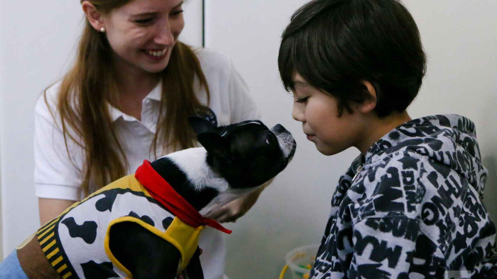 En esta clínica chilena usan perros para quitar el estrés.
