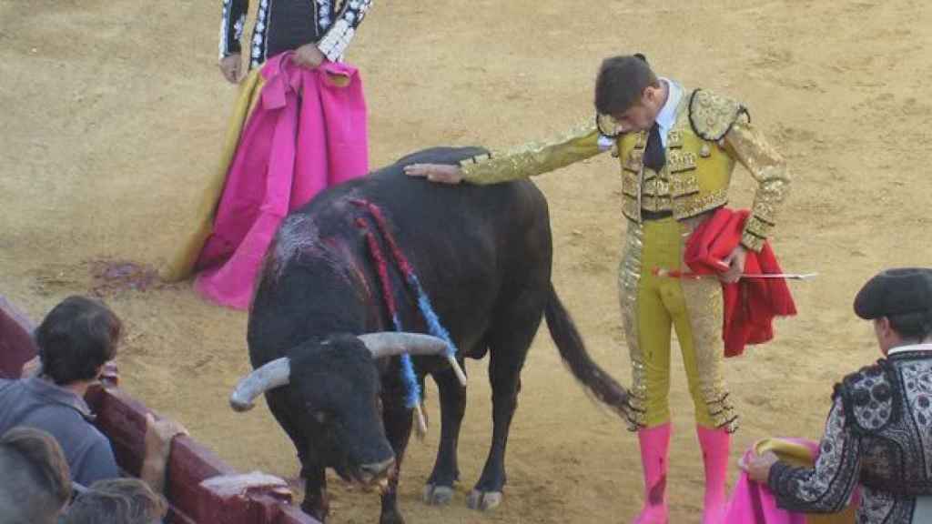 Valladolid-Tordesillas-encierro-toros-09