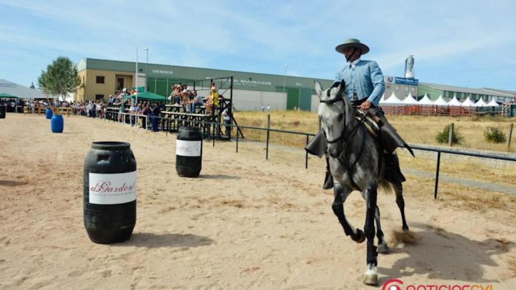 feria-del-caballo-2016-ciudad-rodrigo-41