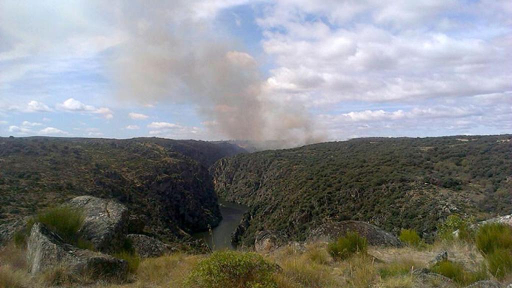 zamora incendio villardiegua