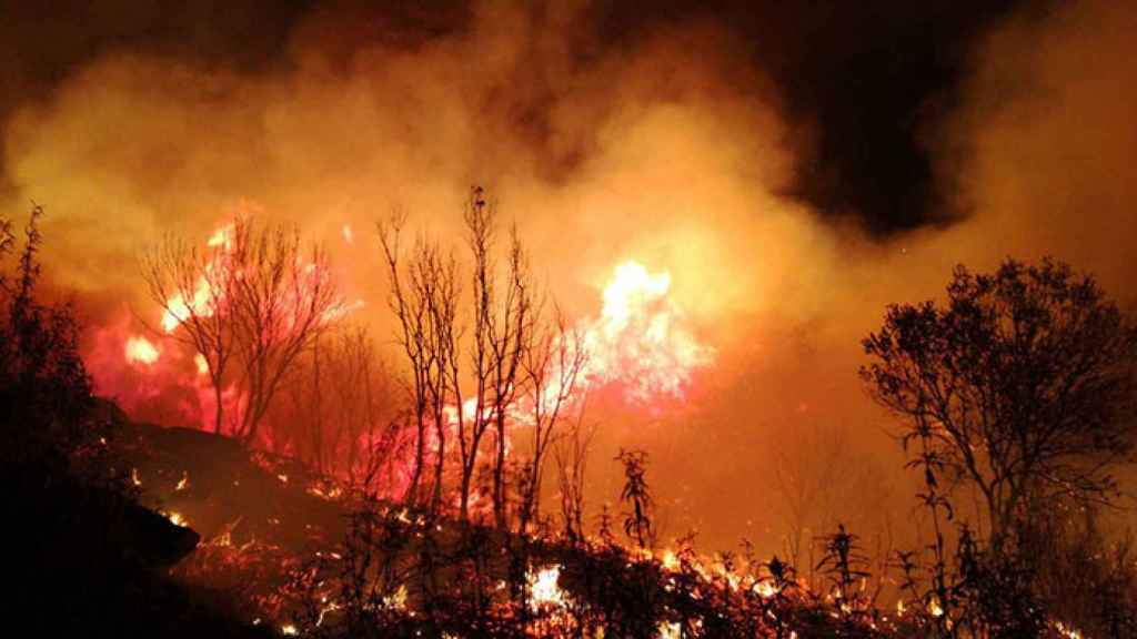 zamora incendio san martin pedroso trabazos