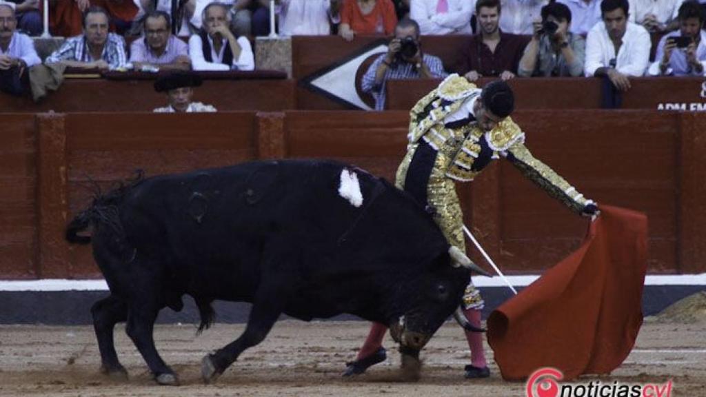 corrida 13 feria salamanca 2017 (3)