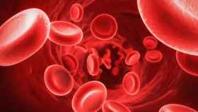 Por las venas y arterias de los seres humanos circulan unos cinco litros de sangre.