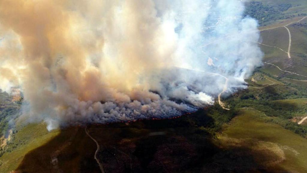 zamora incendio hermisende (1)