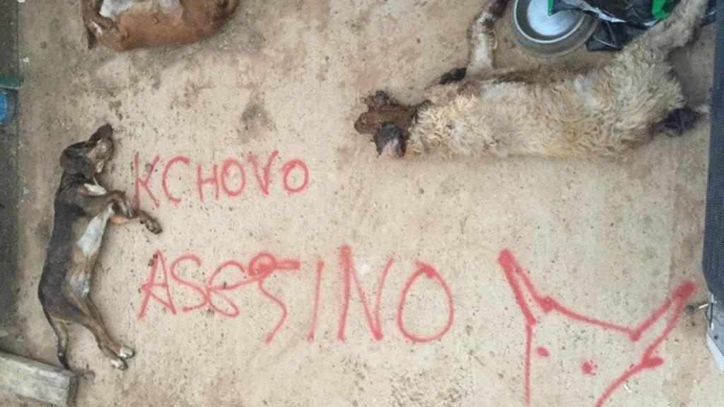 perros asesinados cachobo toro vega valderas 1