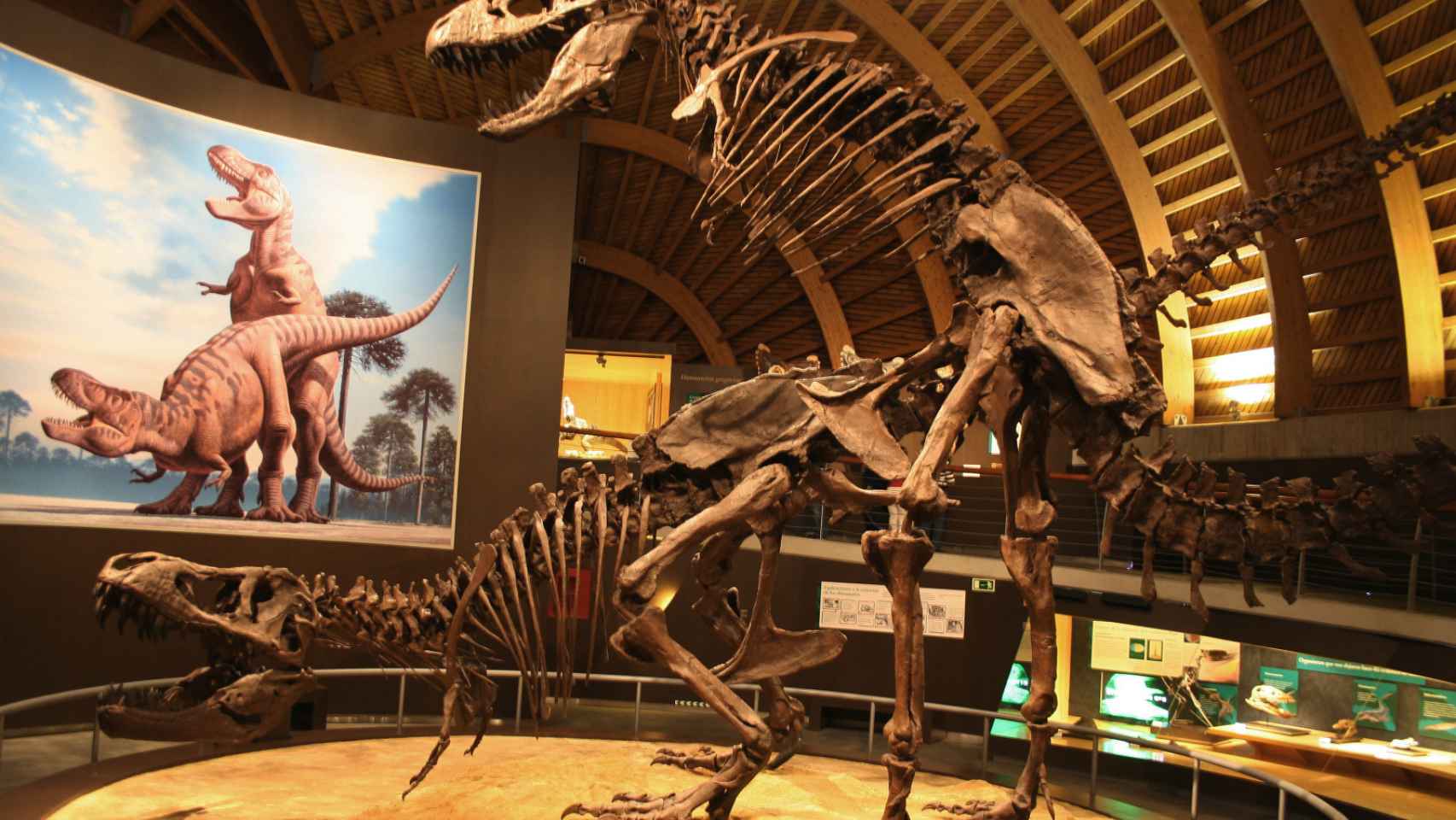 Dos tiranosaurios copulando en el Museo del Jurásico de Asturias.
