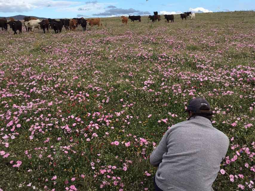 Javier Núñez haciendo una fotografía de los ejemplares de su ganadería