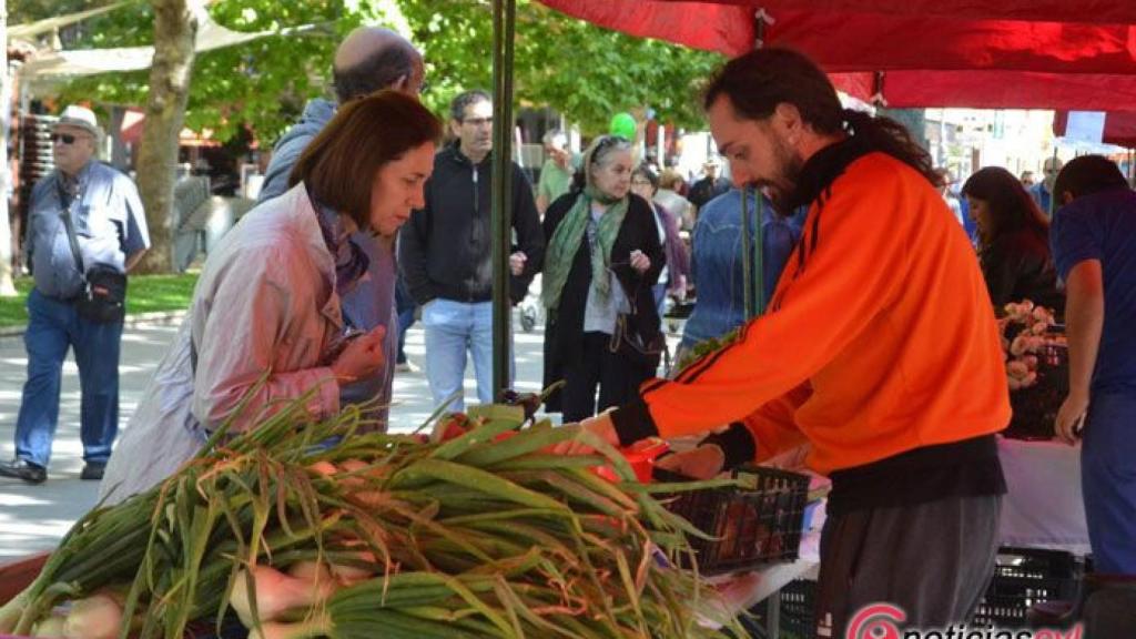 Zamora mercado ecologico 3 2