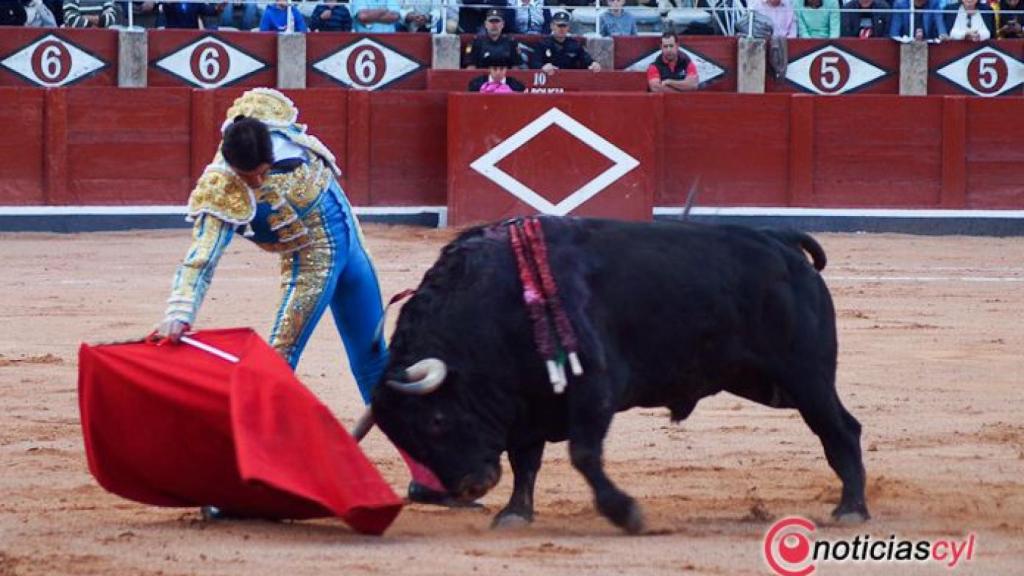 corrida 15 septiembre 17 salamanca (7)