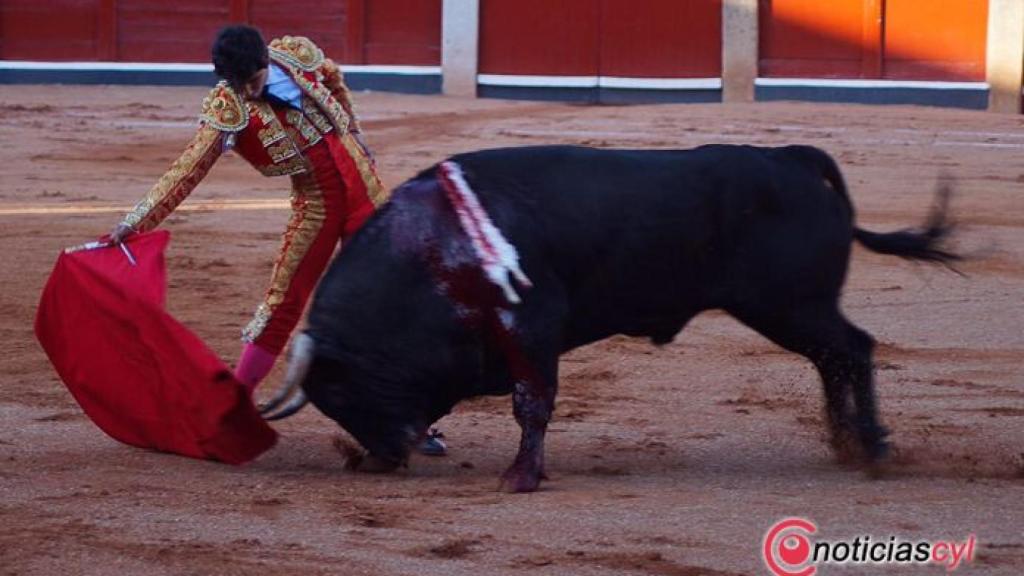 corrida 16 septiembre 17 salamanca (11)