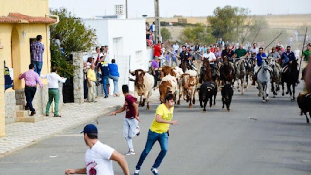 encierro-2015-tamames