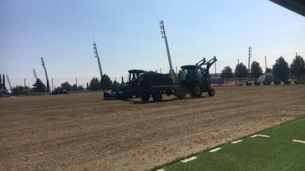 Césped nuevo en la Ciudad Real Madrid. Foto: Twitter (@paul_pburgess).