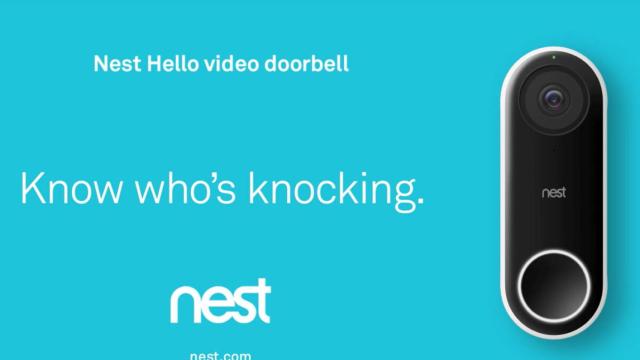 nest-hello-1