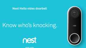 nest-hello-1