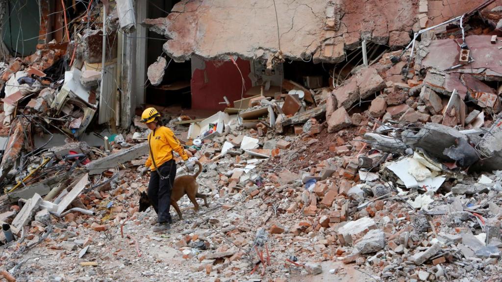 Uno de los rescatistas busca entre las ruinas de un edificio en México DF