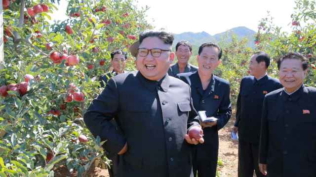 Kim Jong-Un durante una visita a una plantación de manzanas.