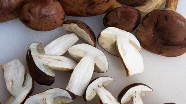 Imagen de archivo de unos boletus