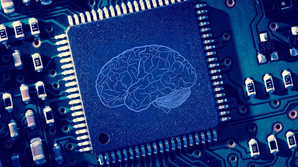 cerebro-ordenador