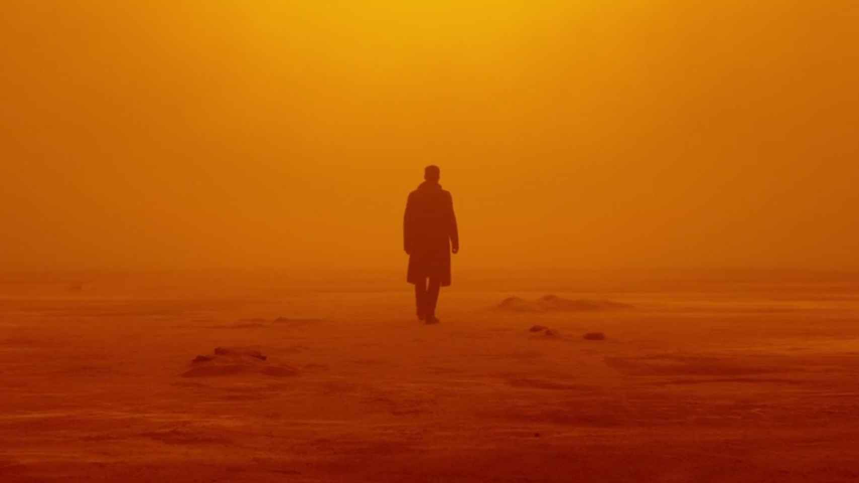 Fotograma de nuevo Blade Runner.