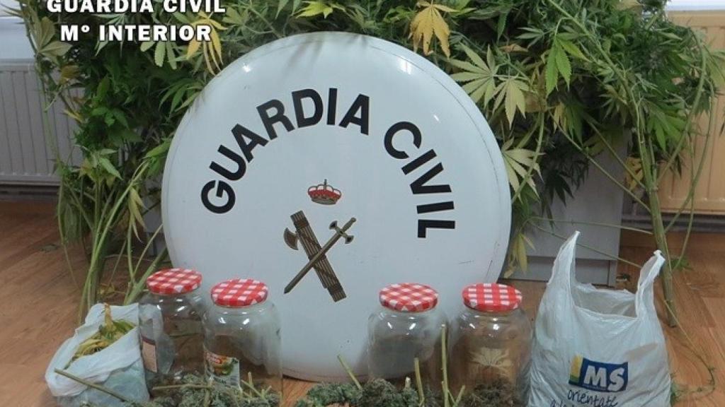 marihuana-burgos-guardia-civil