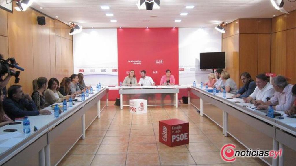 tudanca-psoe-ejecutiva