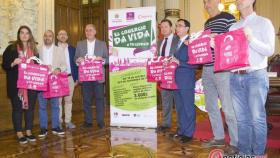 Valladolid-comercio-gato-ayuntamiento