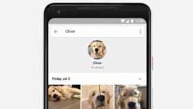 Google Photos ahora reconocerá a tus mascotas en la búsqueda de imágenes