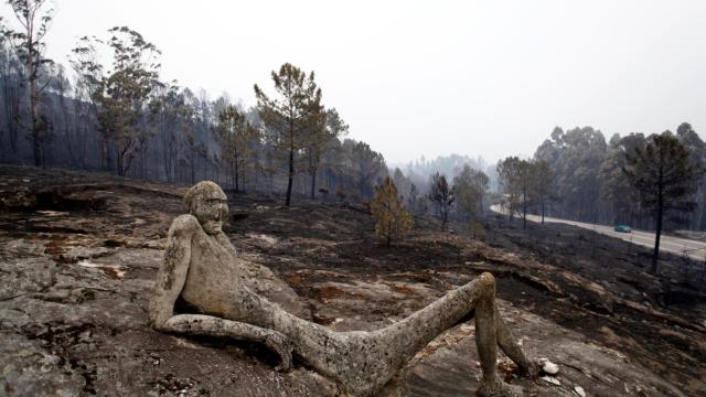 Un monte totalmente calcinado en el concello pontevedrés de As Neves.